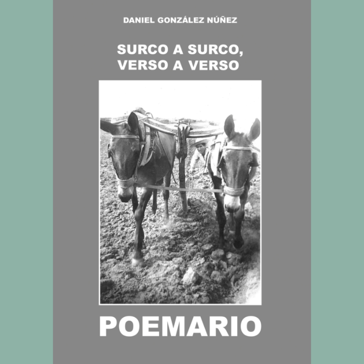 Surco a surco, verso a verso - Daniel González Núñez